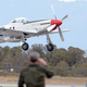 Illustration for article titled Rare Dual Seat P-51 Mustang Crashes in Colorado